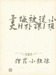 青梅被从小摸到大H补课1视频