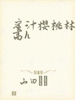 蜜汁樱桃林妙妙高h