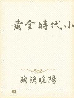 黄金时代小说封面