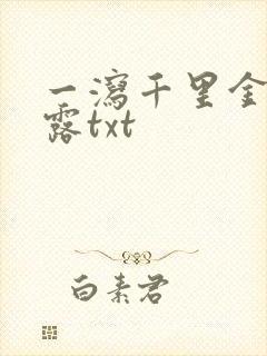一泻千里金银花露txt