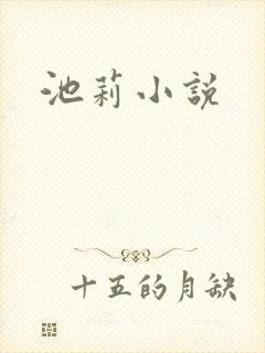 池莉小说封面