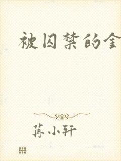 被囚禁的金丝雀