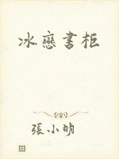 冰恋书柜封面