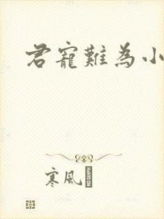君宠难为小说