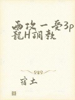 两攻一受3p双龙H调教