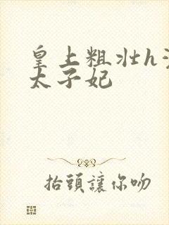 皇上粗壮h灌满太子妃封面