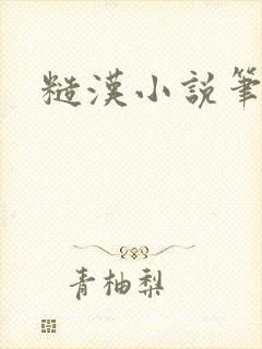 糙汉小说笔趣阁