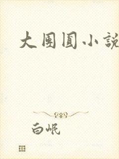 大团圆小说