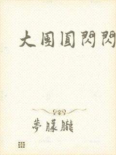 大团圆闪闪发光封面