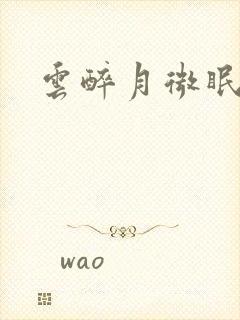 云醉月微眠封面