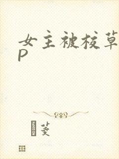 女主被校草们NP