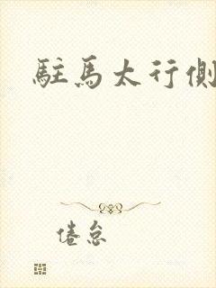 驻马太行侧封面