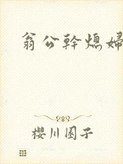 翁公干熄妇封面