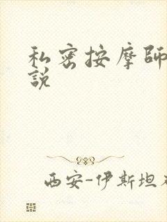 私密按摩师 小说封面