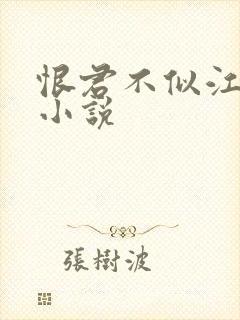 恨君不似江楼月小说封面