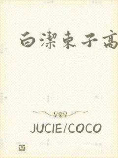 白洁东子高义
