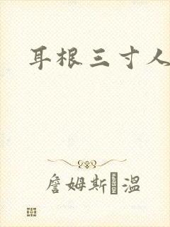 耳根三寸人间封面