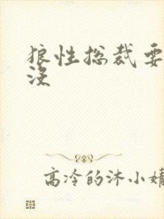 狼性总裁要够了没