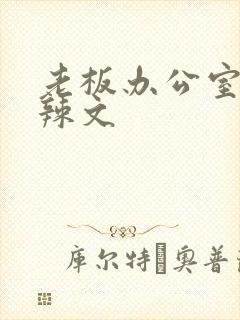 老板办公室系列辣文