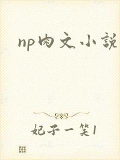 np肉文小说