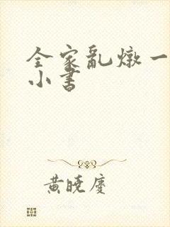 全家乱炖一锅烩小书