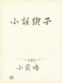 小说楔子