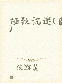 极致沉迷(臣年)封面