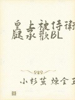 皇上被侍卫抵开腿承欢BL