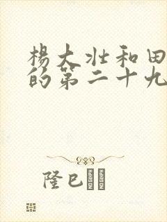 杨大壮和田桂花的第二十九