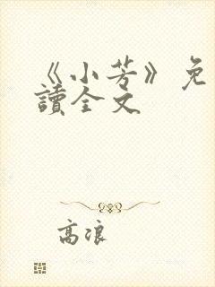 《小芳》免费阅读全文