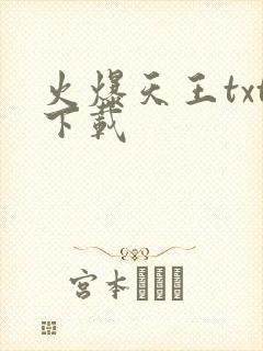 火爆天王txt下载
