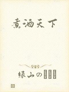 煮酒天下封面