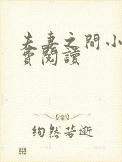 夫妻之间小说免费阅读