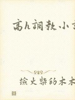 高h调教小说