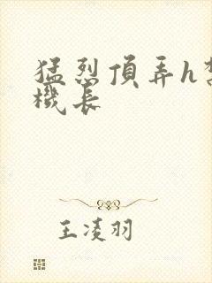 猛烈顶弄h禁欲机长封面
