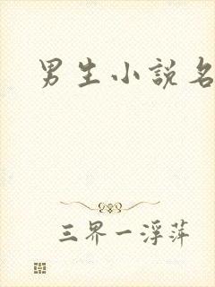 男生小说名字