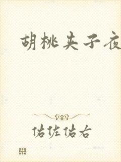胡桃夹子夜未眠