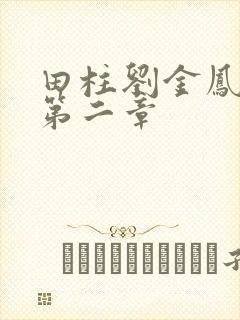 田柱刘金凤小说第二章封面