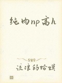 纯肉np高h