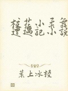 校花小柔舞蹈室遭遇记小说