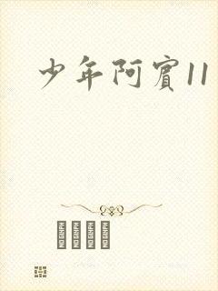 少年阿宾11封面