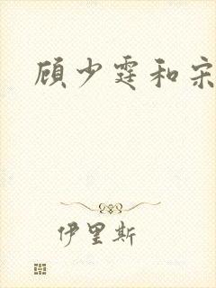 顾少霆和宋斯曼封面