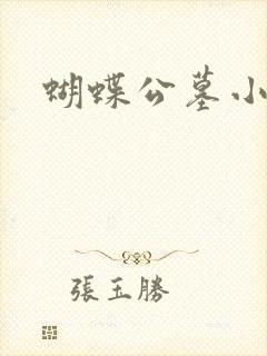 蝴蝶公墓小说