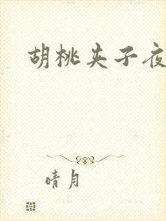 胡桃夹子夜未眠