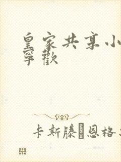 皇家共享小公主宁欢