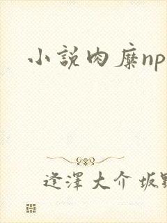 小说肉糜np封面