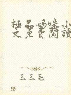 极品妈咪小说全文免费阅读