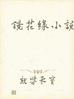 镜花缘小说封面