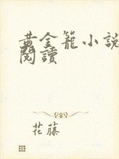 黄金笼小说免费阅读