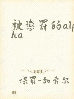 被惩罚的alpha
